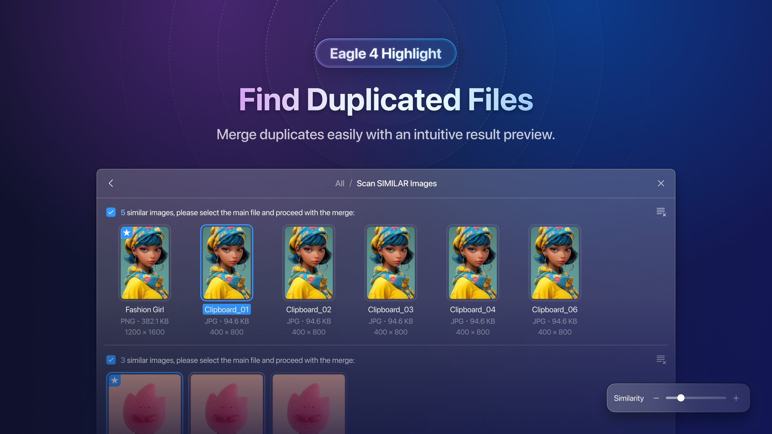 eagle-v4-find-duplicate-3
