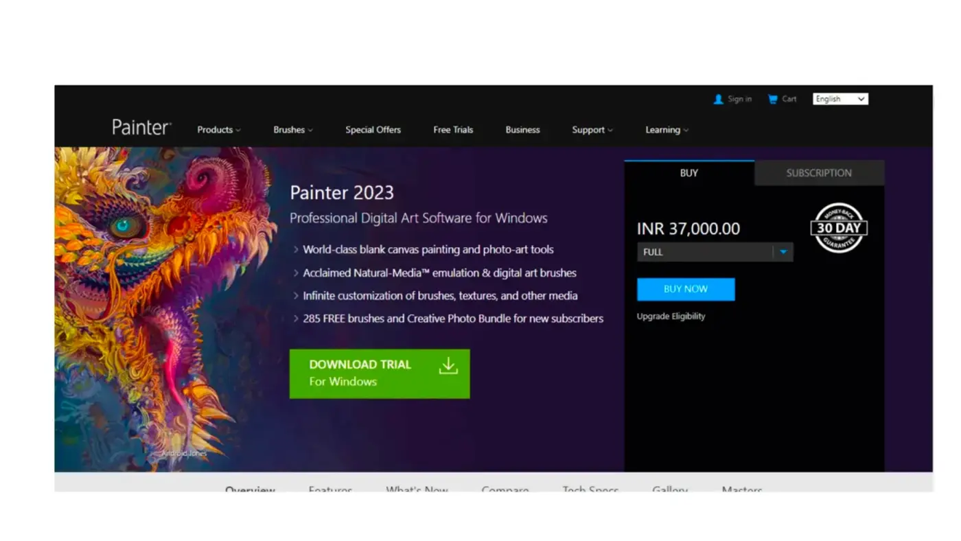 图像来源：Corel Painter